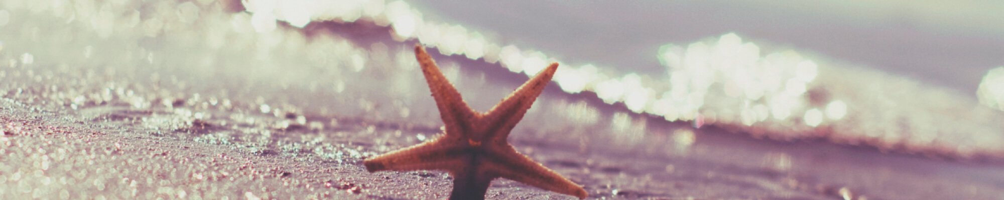 su_06-1141_x1200__PID:d4a08fa4-1a6b-4b5e-a538-bc077118d886