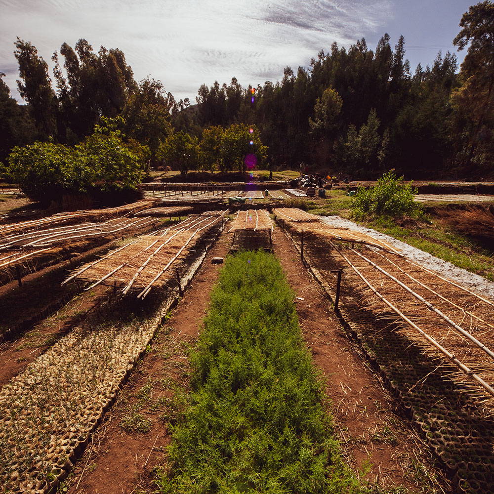 __PID:e30c801c-86d8-4add-9aec-59490c5eb1e7