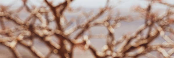 __PID:854af7f1-2087-4a08-bb4b-36b56a1f5c8e