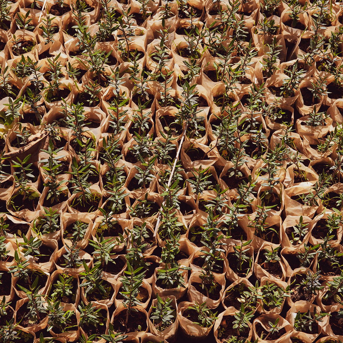 __PID:006ba938-9cfe-40a7-9a55-5898c3af0ae8