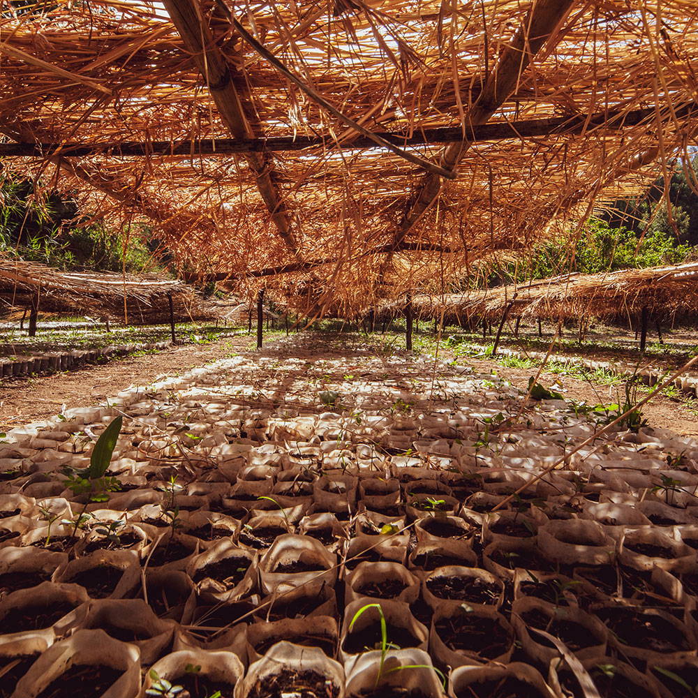 __PID:27567b9e-9bed-43f2-907b-60a98d5b35bf