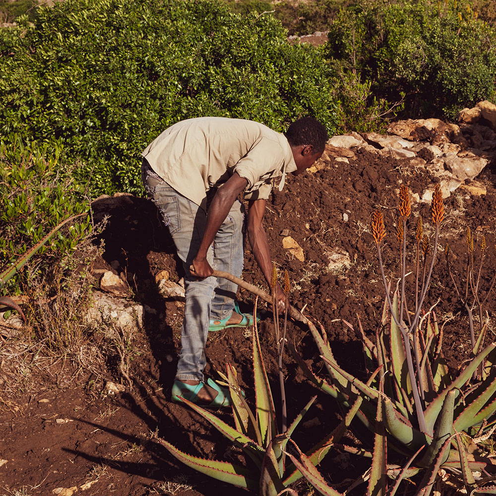 __PID:54c08dd9-49bf-42b6-bd26-c2765ec8f784