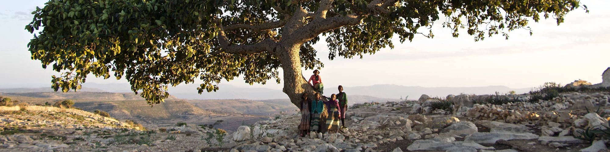 __PID:baca9611-c4d0-4685-90f1-960167bb4e15