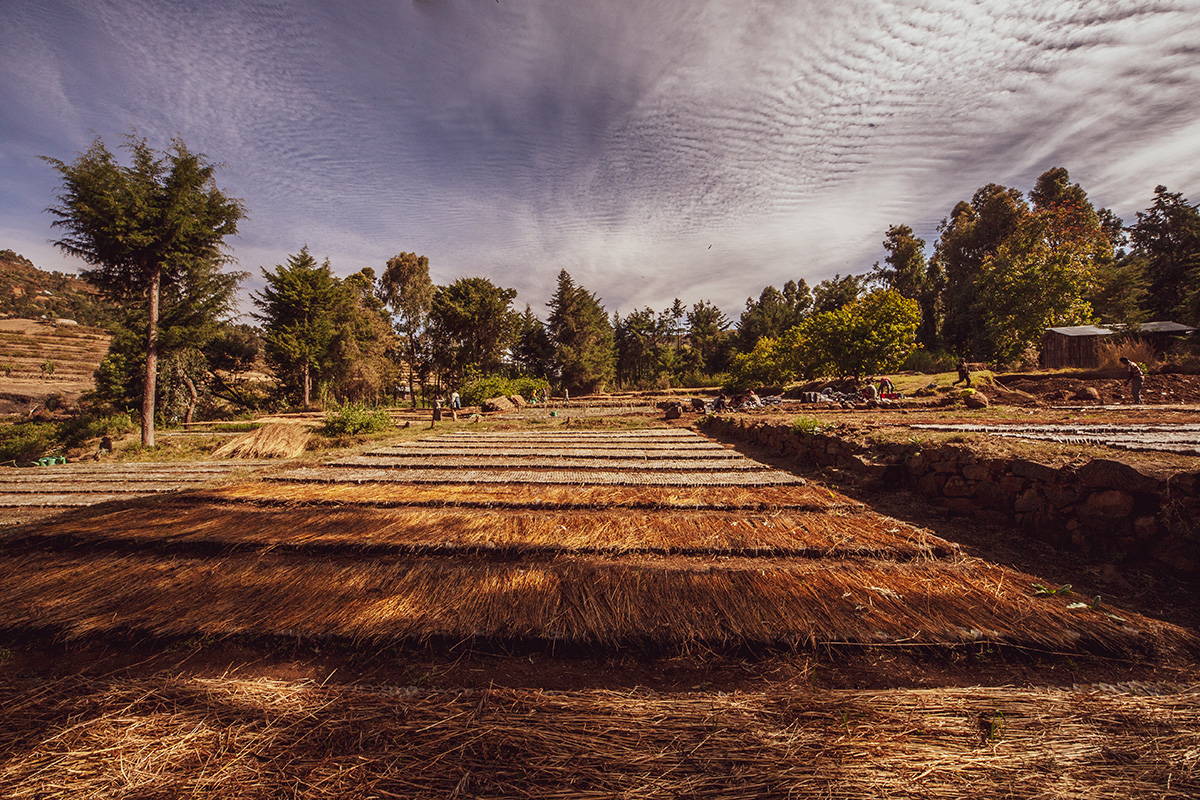 __PID:04200f23-076e-4383-a43e-bcba4ad4aaf0