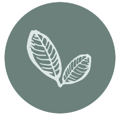 biodiversity__PID:fc32f987-dbf6-4945-9b94-41f0cfc49340