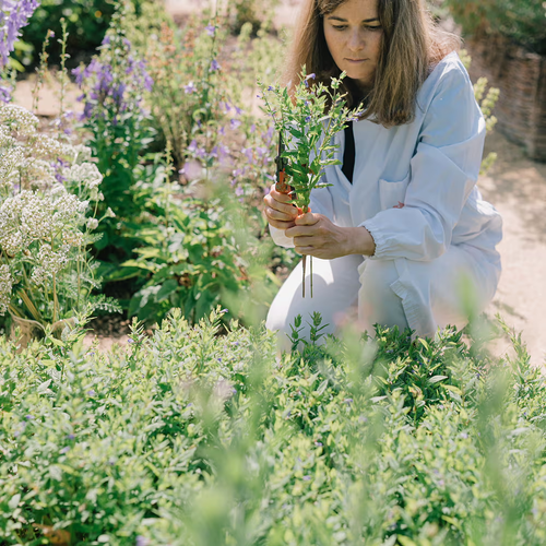 p1.png__PID:2441a7e7-99be-4a4b-a21c-dbdd14f73006