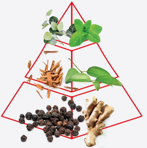 pyramid.png__PID:ce9d3103-8d45-4477-9c5c-6b81d6c82ed8